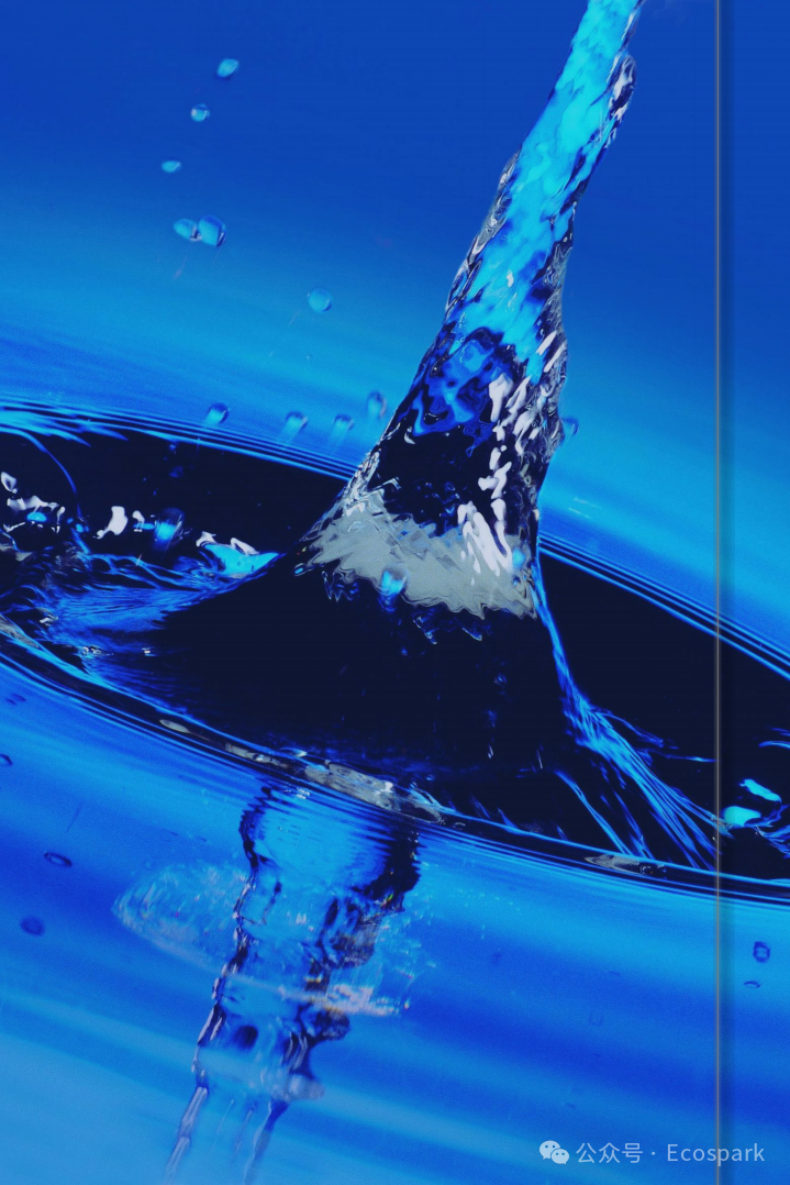 微信图片_2026-02-09_163818_257