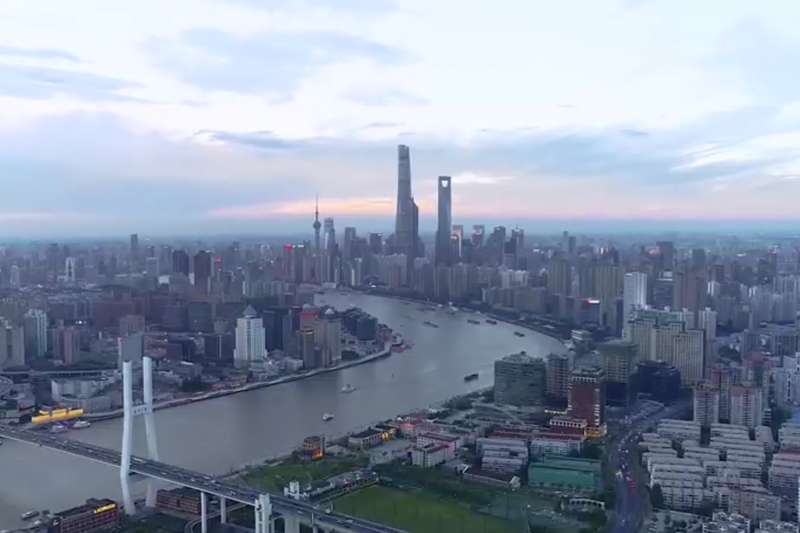 Company Introduction1